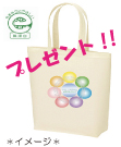 エコバッグプレゼント