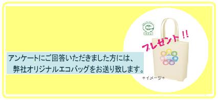 エコバッグプレゼント