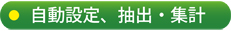 自動設定、抽出・集計
